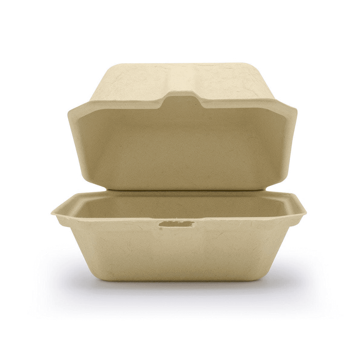 compostable and disposable clamshell on white background