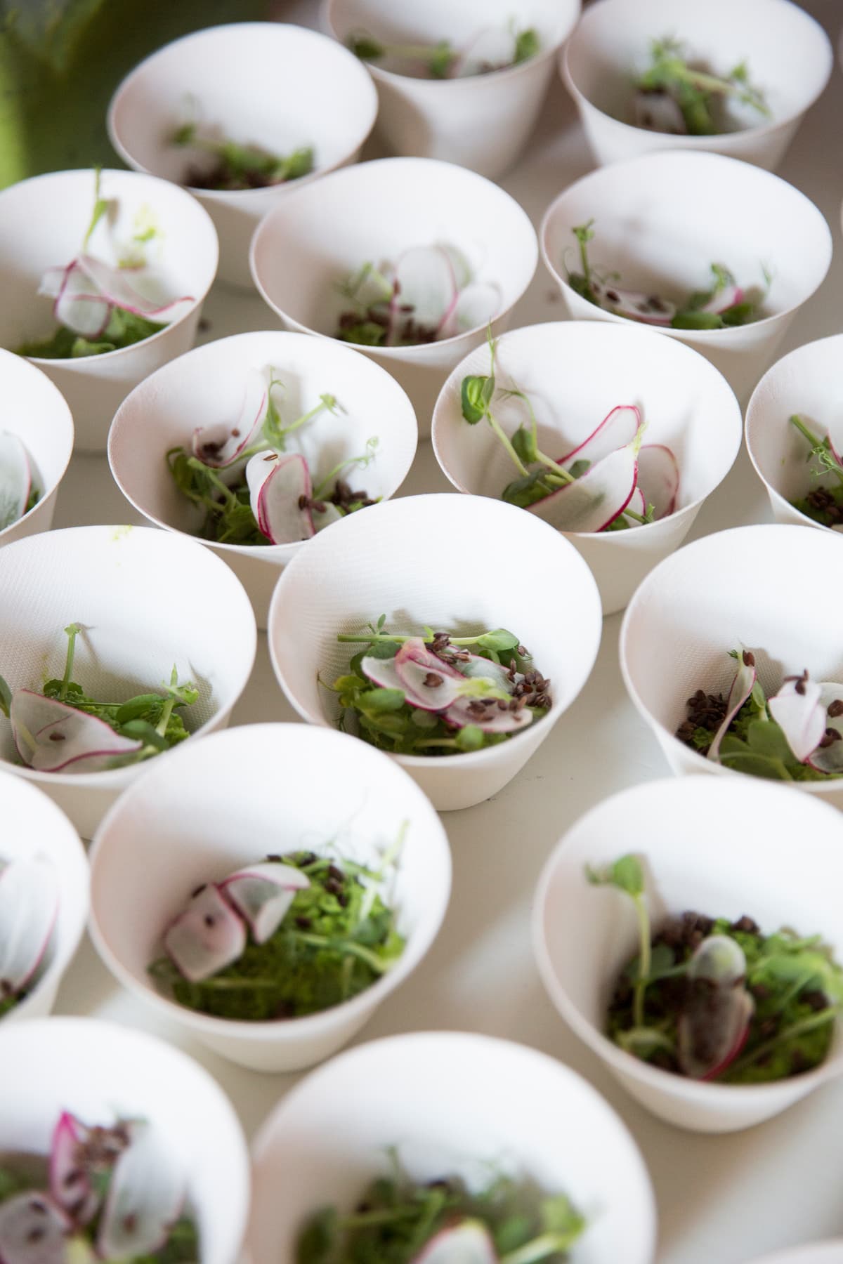 Green Paper Products Sustainable & Disposable Tableware Products