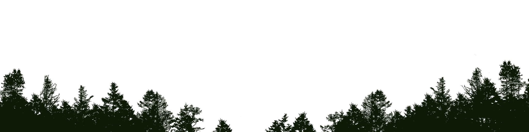 Green Paper Products Sustainable & Disposable Tableware Products