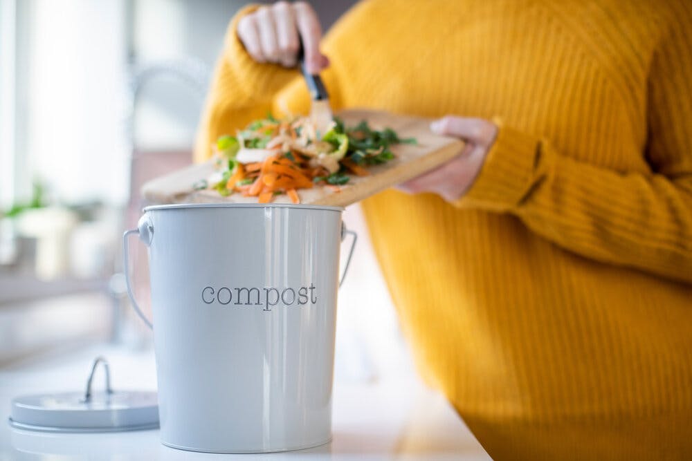 Composting File - Blog Post