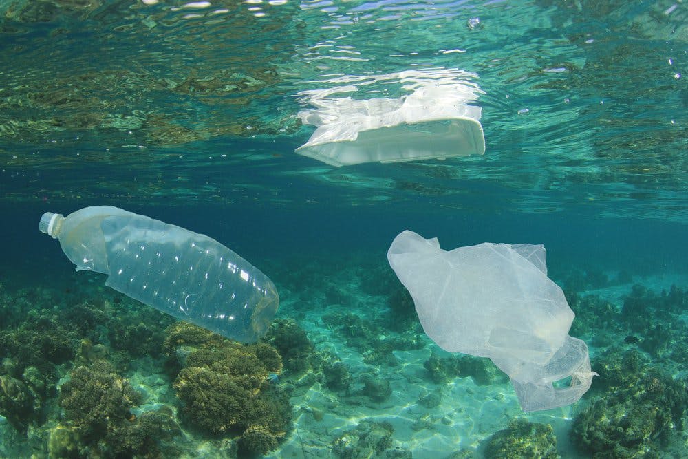 Single Use Plastics in Ocean - Blog Post