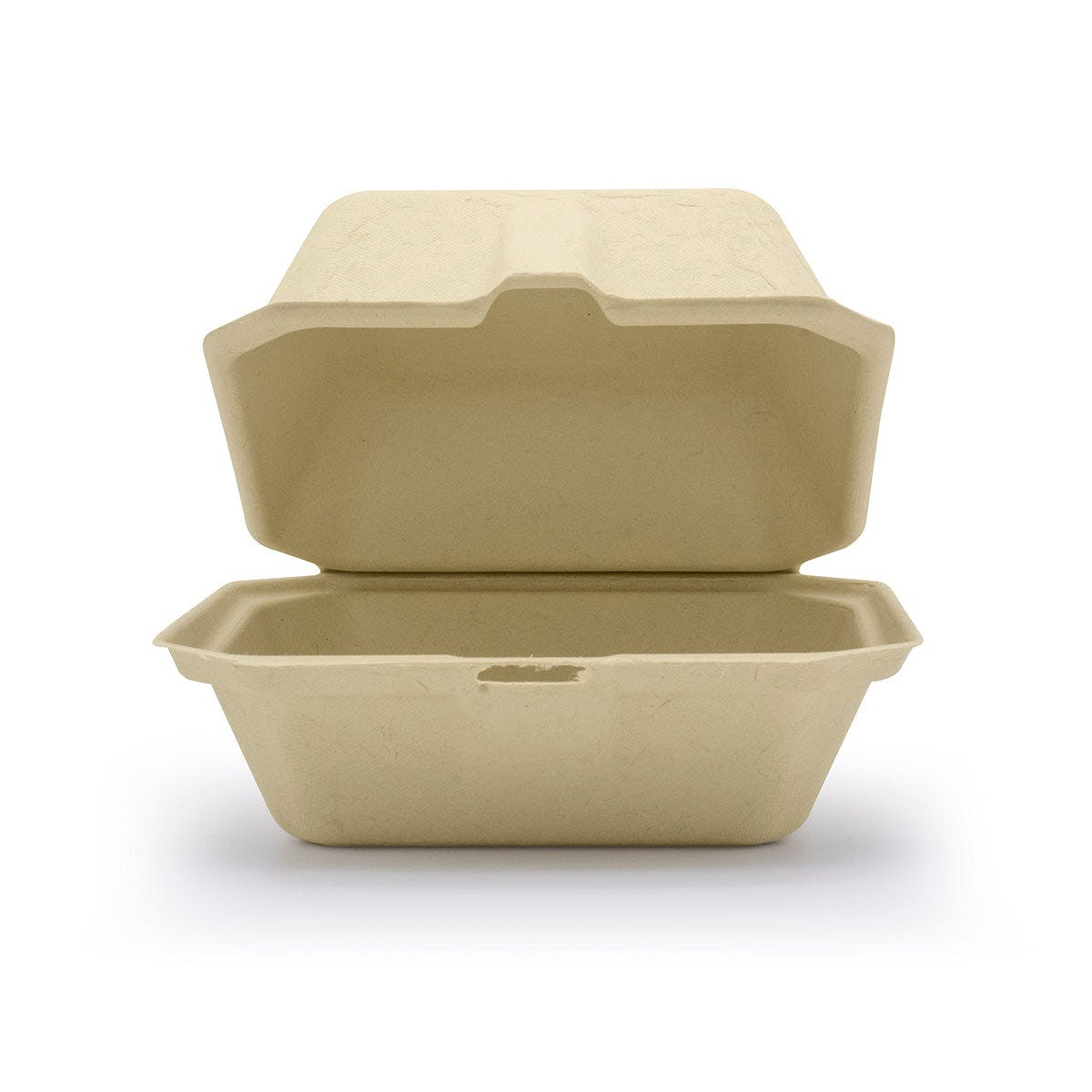 compostable and disposable clamshell on white background