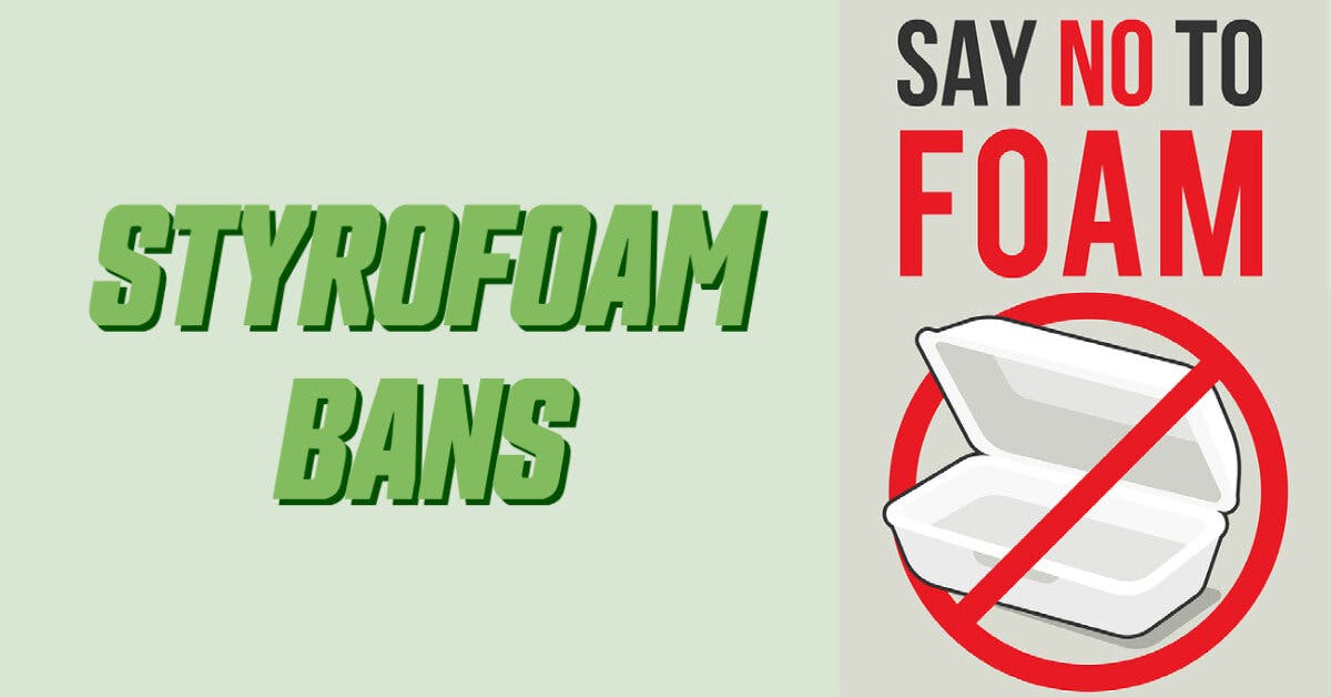 Styrofoam Ban - Blog Post