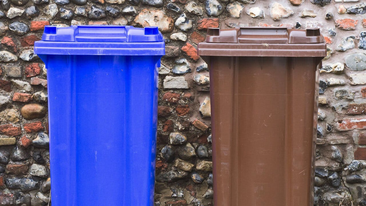 Recycling vs. Composting Containers