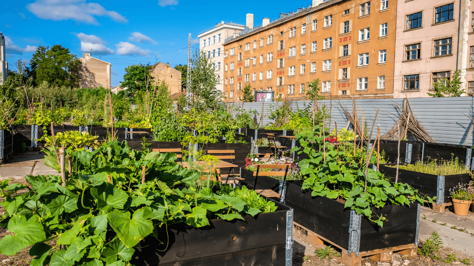 Composting Tips for Urban Gardeners
