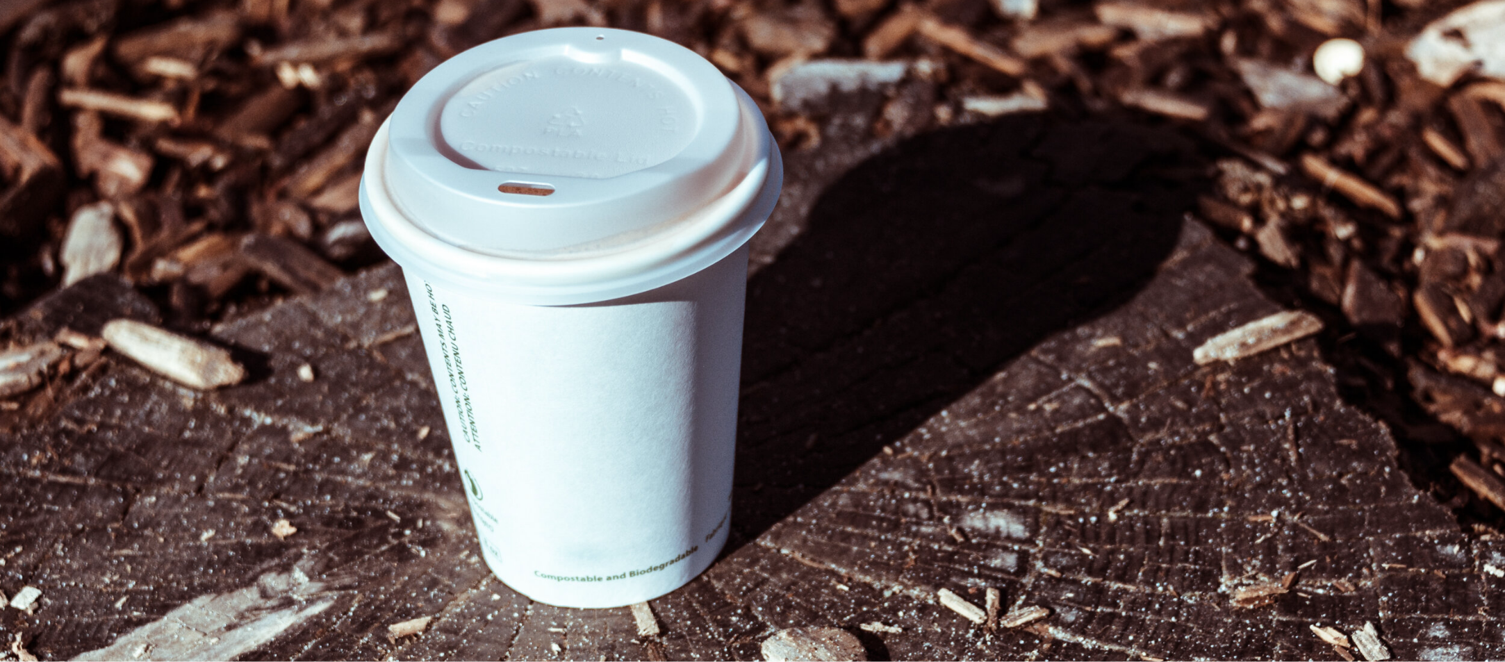 a compostable disposable coffee cup