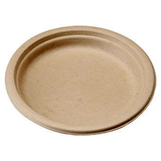 compostable and disposable plate on white background