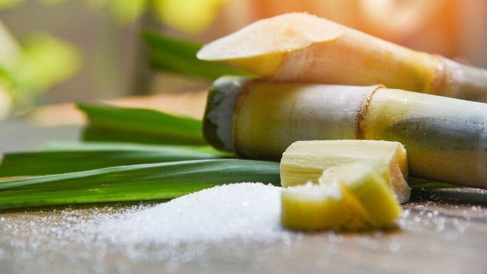 Sugarcane Bagasse - Blog Post