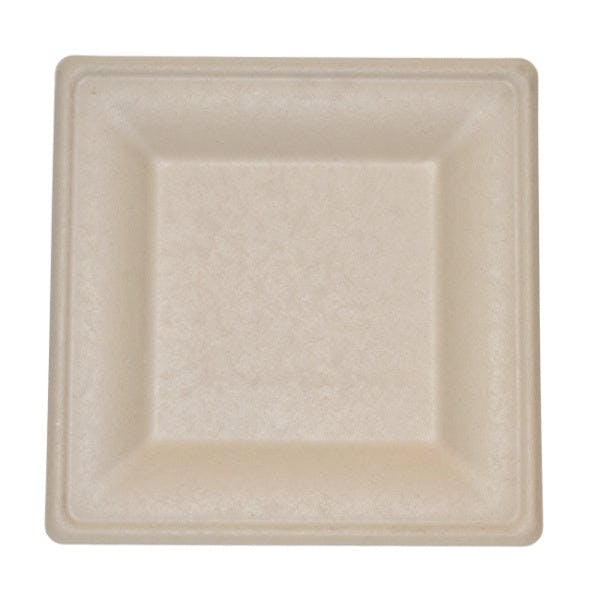 10 inch brown biodegradable plate on white background