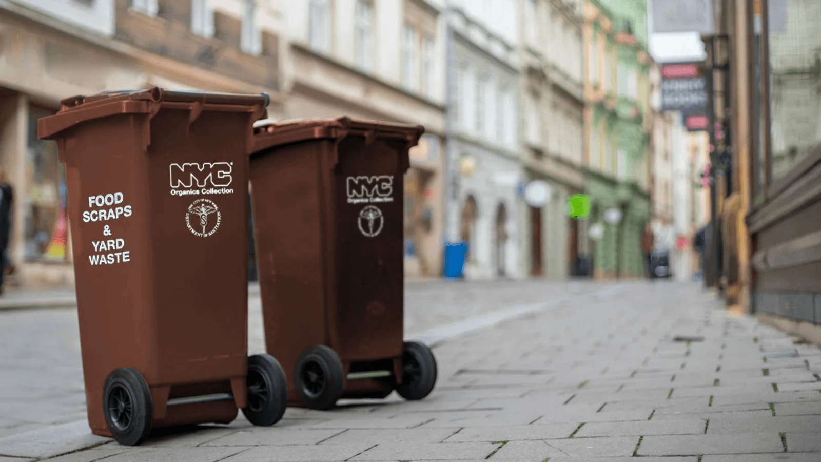 NYC Curbside Composting Program | How to Get Started & Benefits