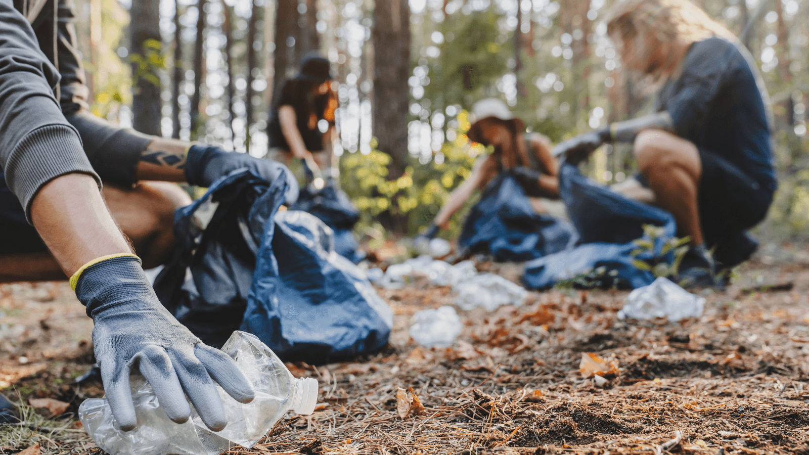 Litter Effects Why is litter harmful for the Environment? (2026 Data)
